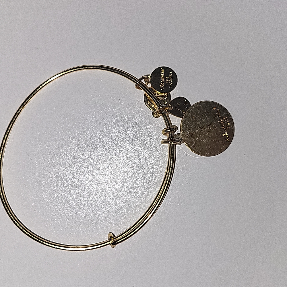 Alex And Ani Toast champagne glasses, Unircorn & You Are Enough Bracelet Set - Picture 2 of 6